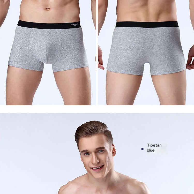 Men's Cotton Boxed Underwear