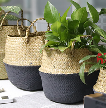 Handwoven Seagrass Basket 4