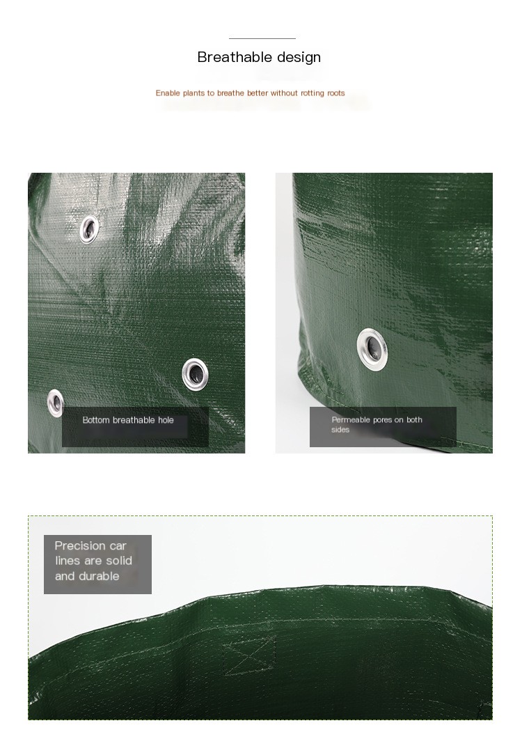 Xingshun potato planting details_09