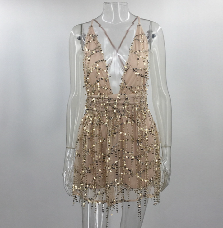 Sequin Dress Close Up