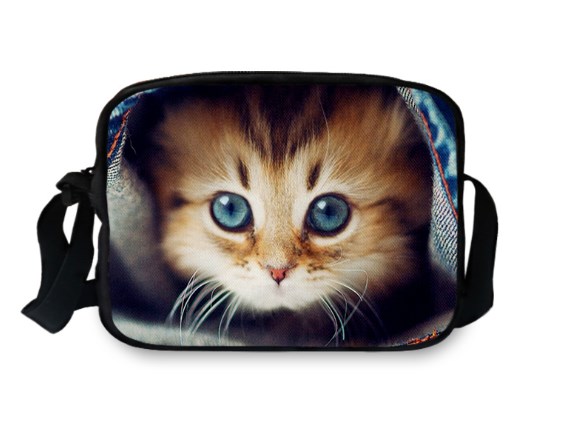 Bag in Use