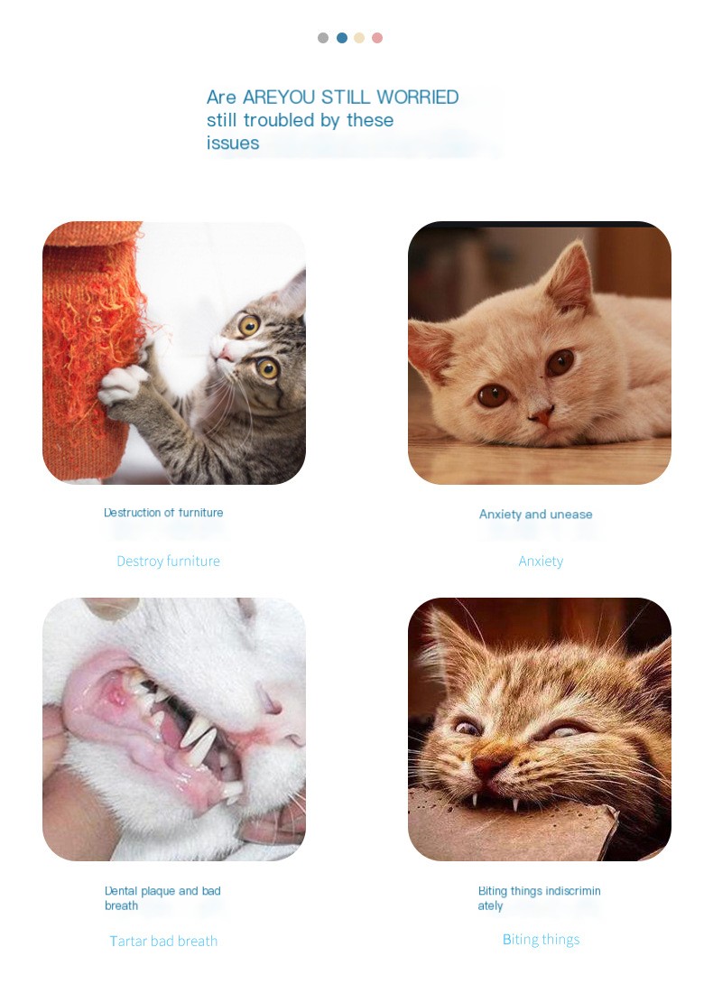 Interactive Cat Toy
