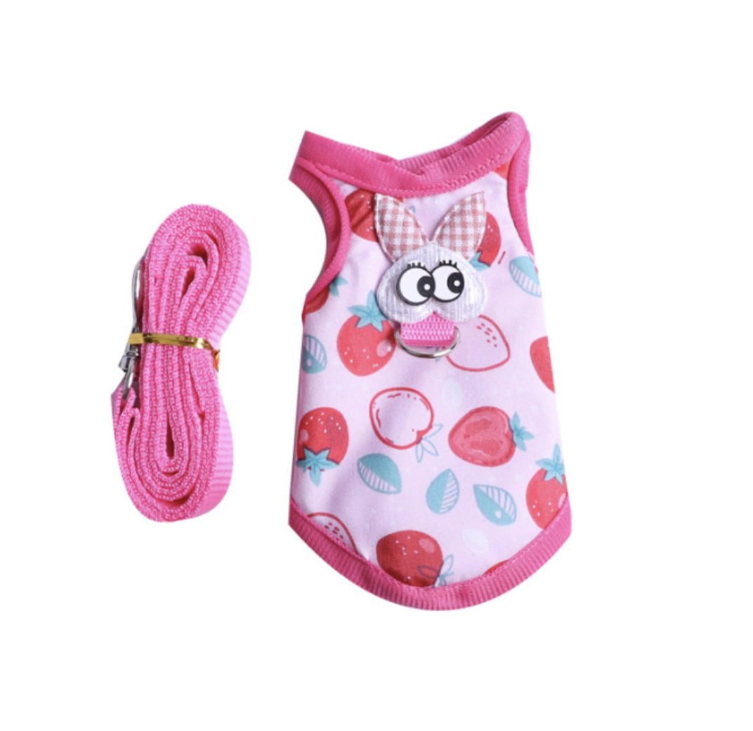 Guinea Pig Harness and Leash 2