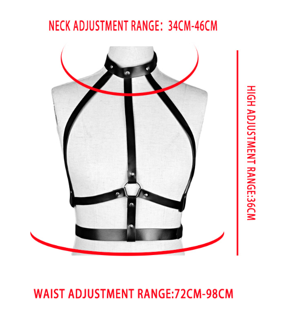 Leather Harness Image 5