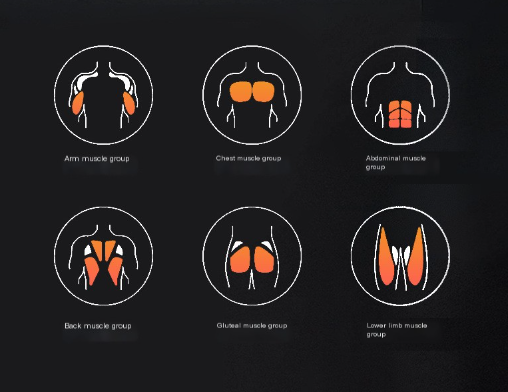 Ab Wheel Image 2