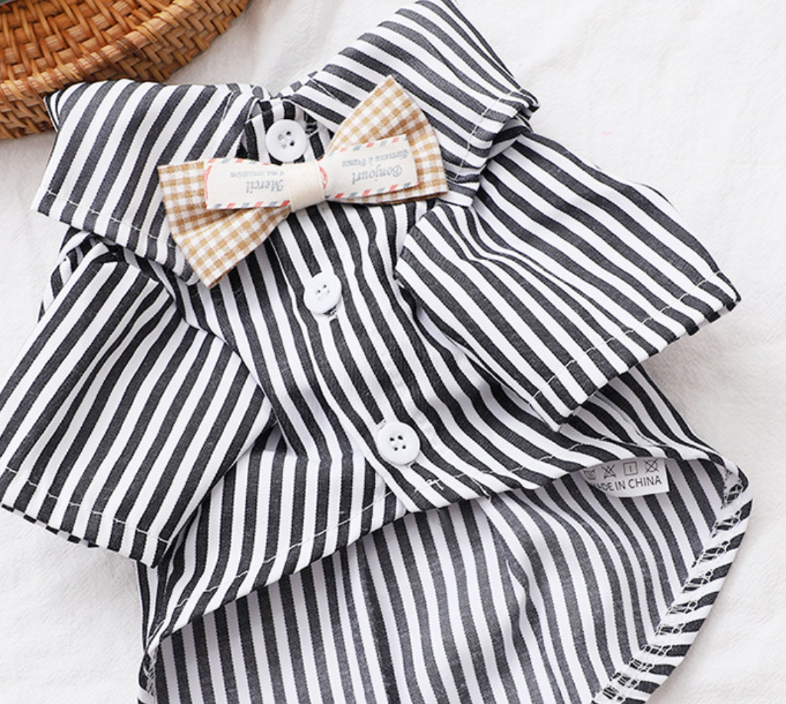 Pet Clothing Image 3