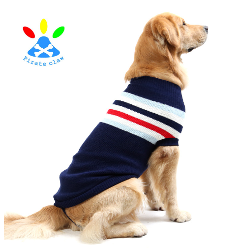 Golden Dog Clothes 4