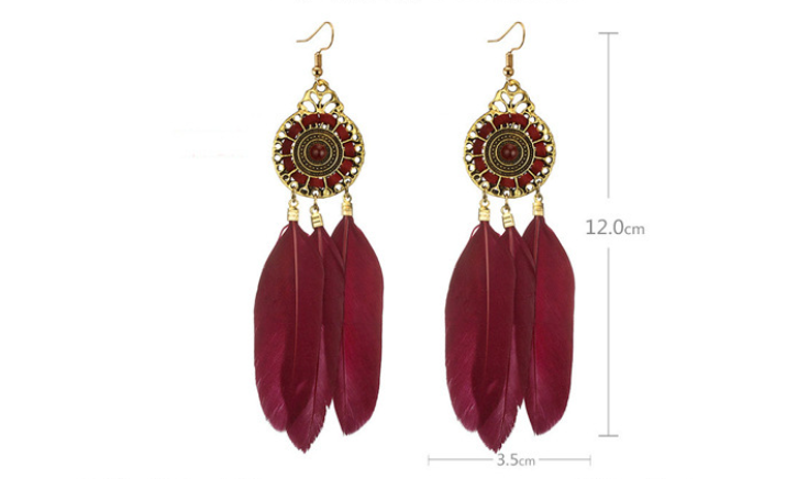 Feather Earrings Display
