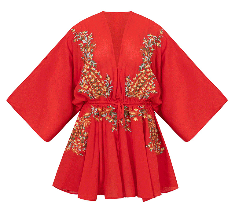 Embroidered Dress 5