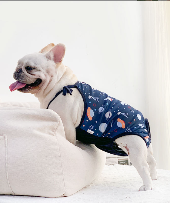 Meteor Print Dog Clothes 2