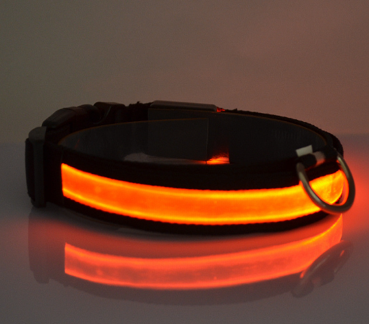 LED Dog Collar 4