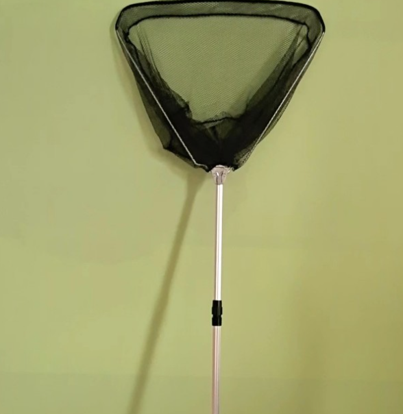 Folding Triangle Reading Network