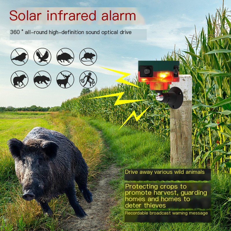 Solar Alarm Device Image 2