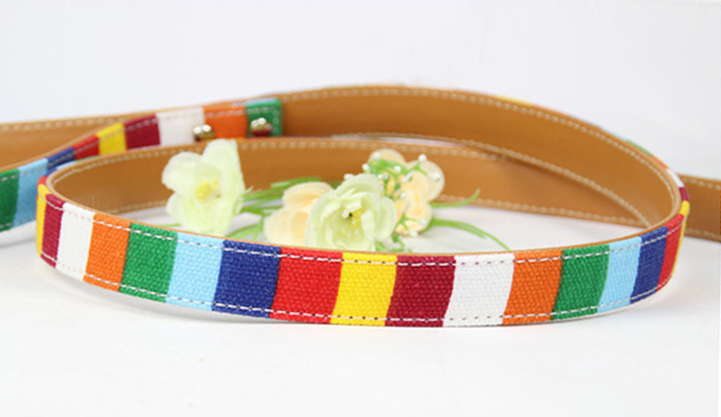 Colorful Pet Leash Detail