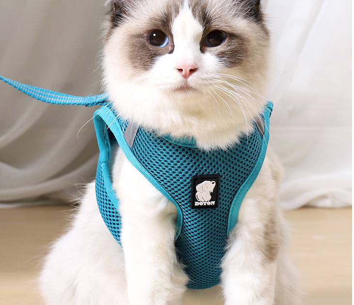 Gentle Paws Anti Strike Harness