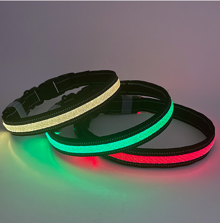 Dog LED Light Up Collar
