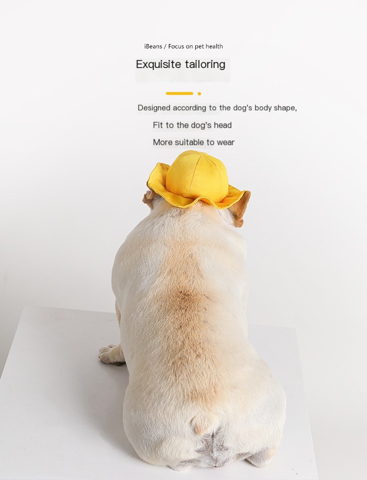 Pet Cute Fashion Plaid Sun Hat Image 2
