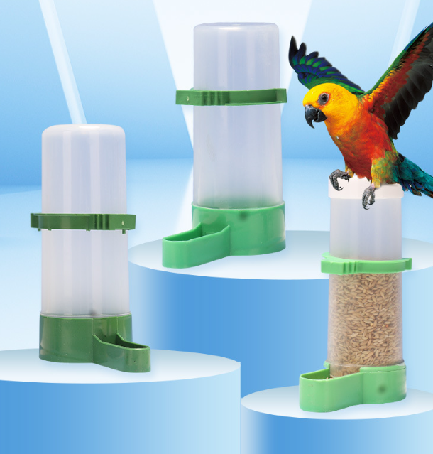 Bird Feeder