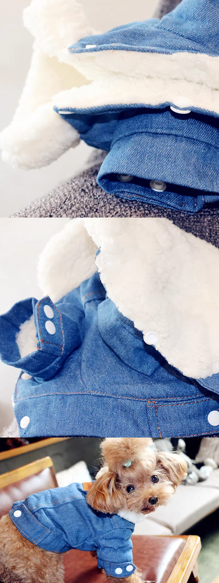 Various sizes of dog jackets