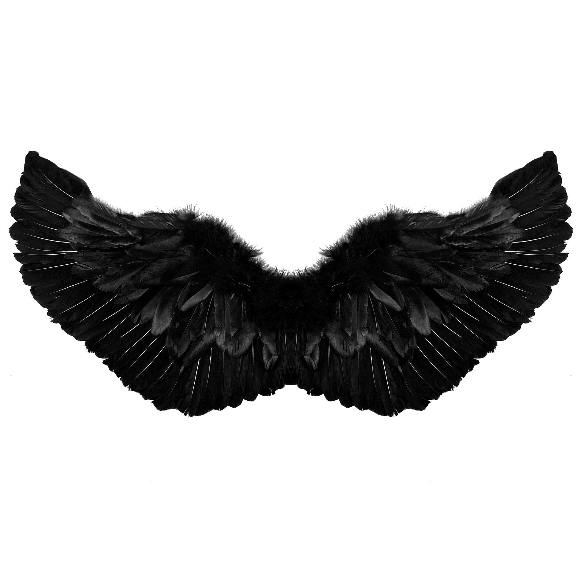 Black Feather Wings 7
