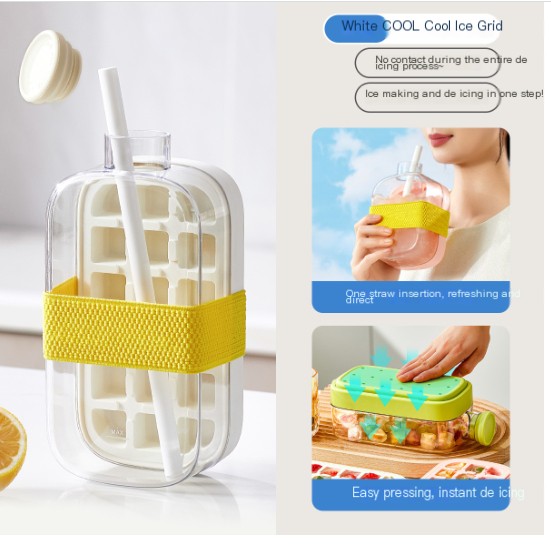 Cool Summer Ice Bottle Cup