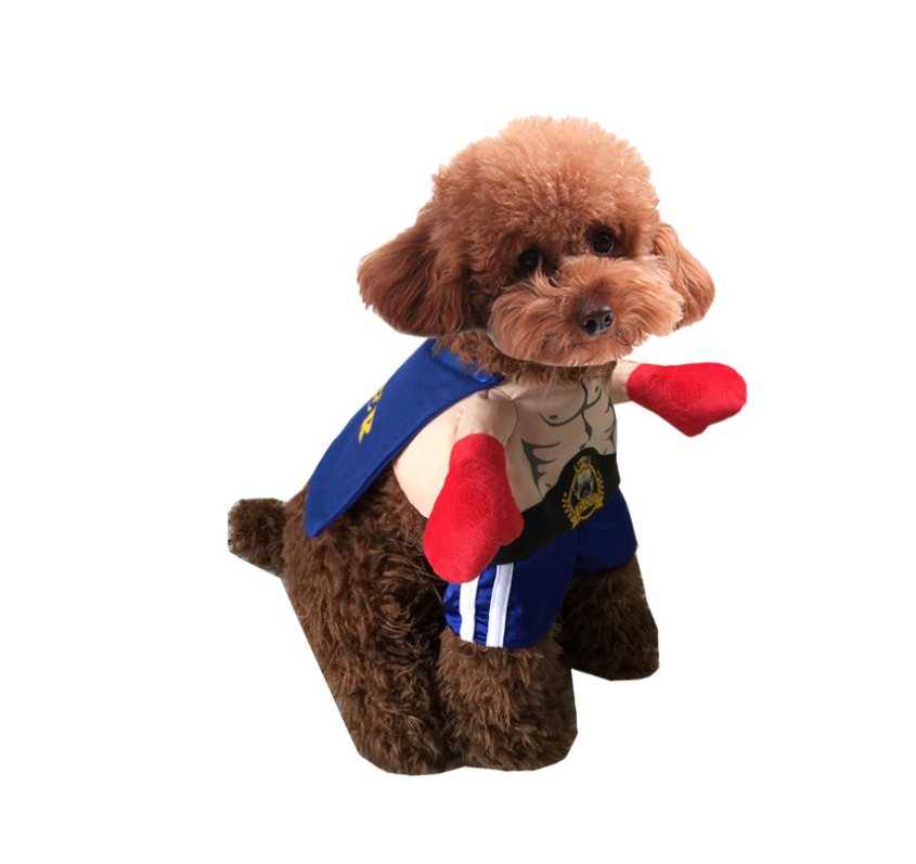 Dog and Cat Outfit Image 3