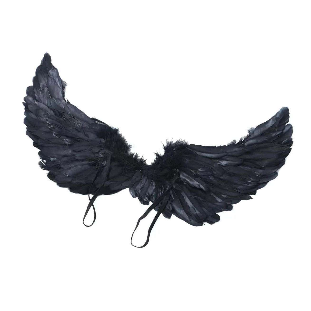 Black Feather Wings 6