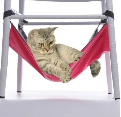 Cat Hammock Image 1