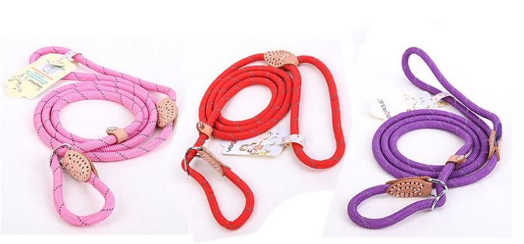 Reflective Dog Leash Red