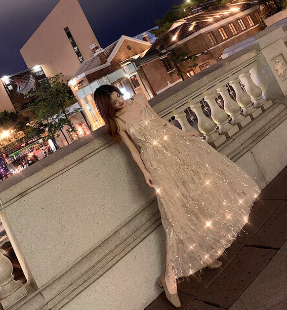 Dress back view