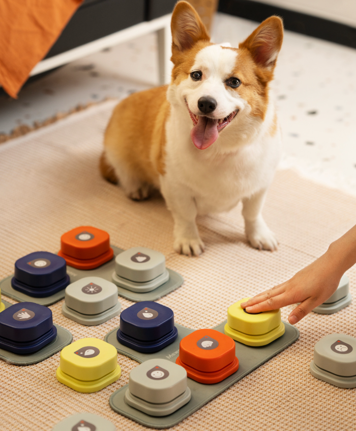 Pet Communication Button Image 4