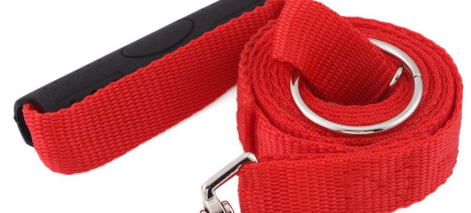 Instant Trainer Leash in Use 1