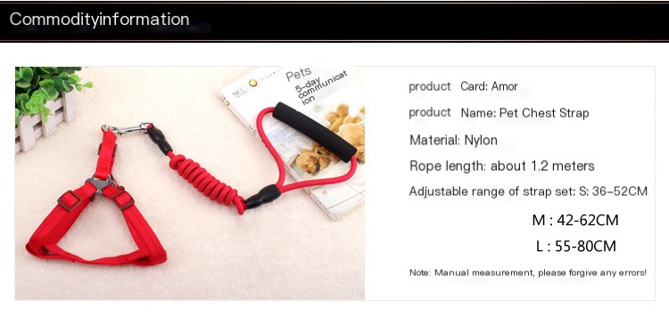 Pet Leash and Harness Set