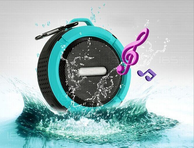 Speaker Features