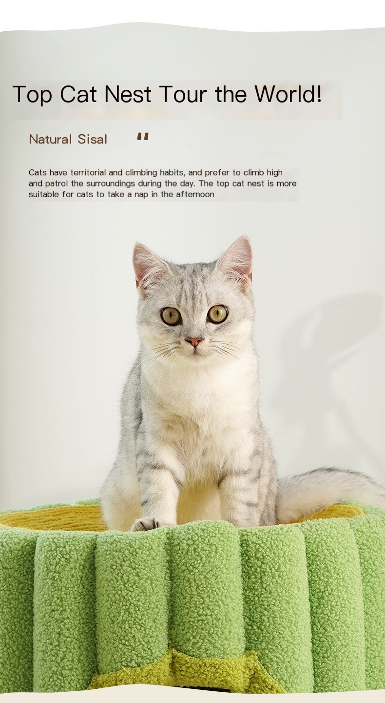Perfect for Scratching