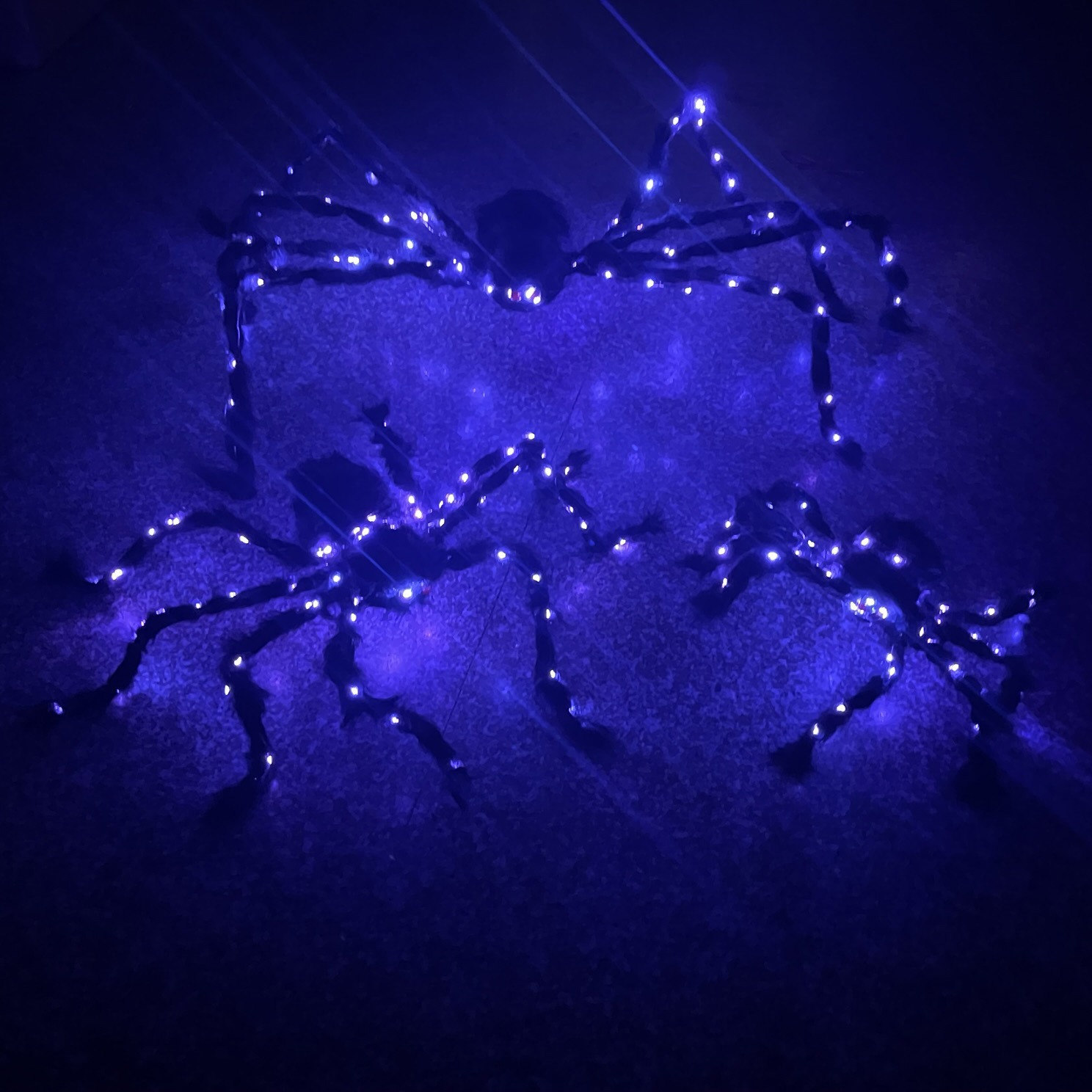 LED Luminous Plush Spider 3