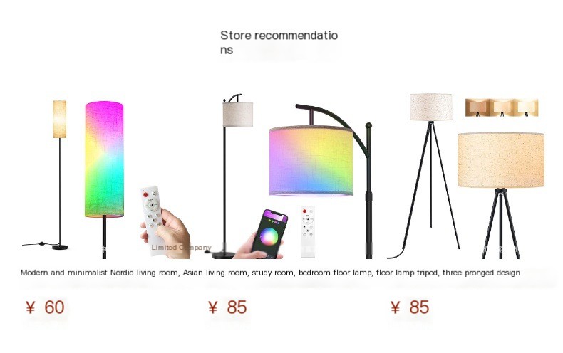 Stylish Floor Lamp