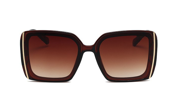 Model 6612 Sunglasses Color 4