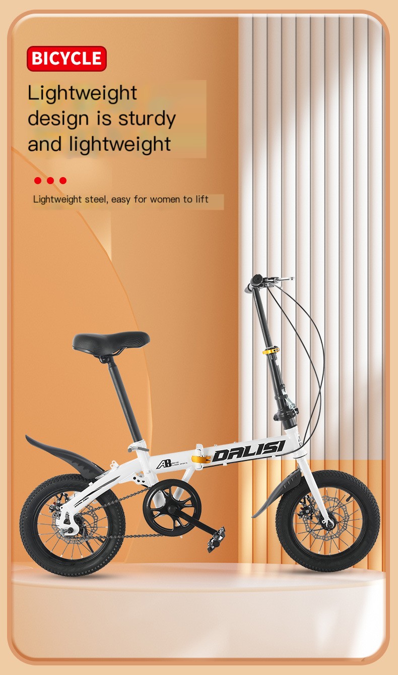 Cycling City Folding Bicycle in Action