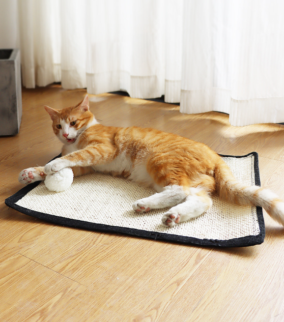Sisal Cat Mat 6