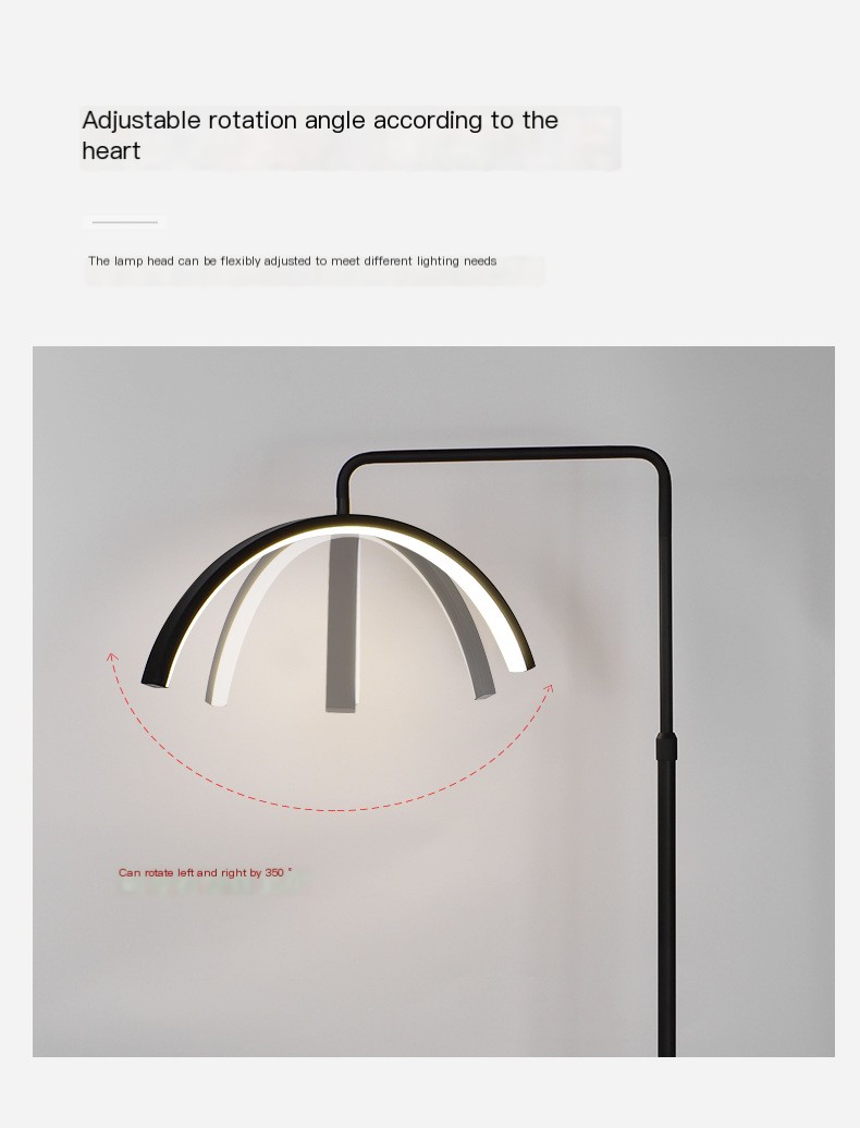 LED Beauty Floor Lamp