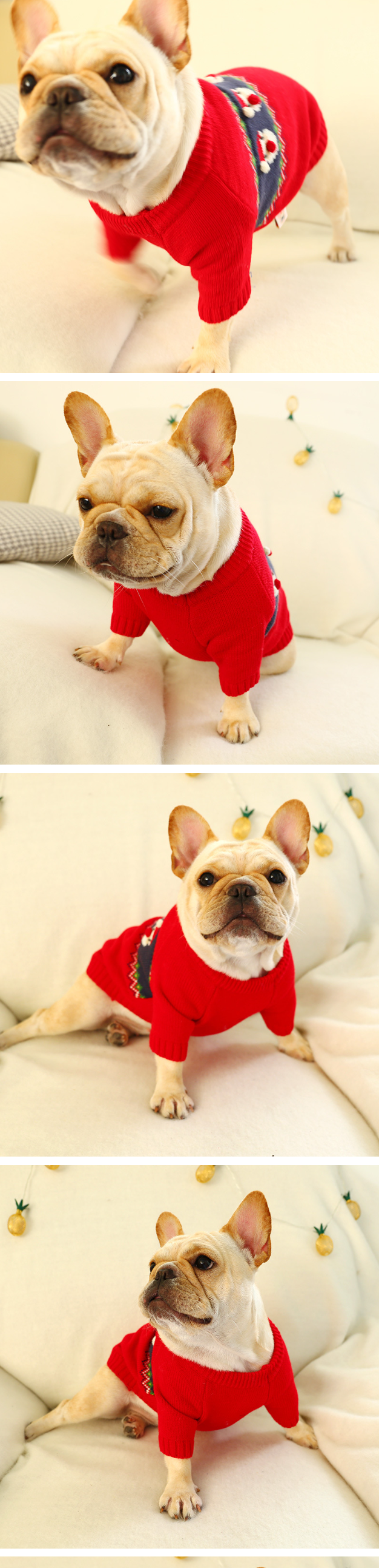 Pet Sweater Image
