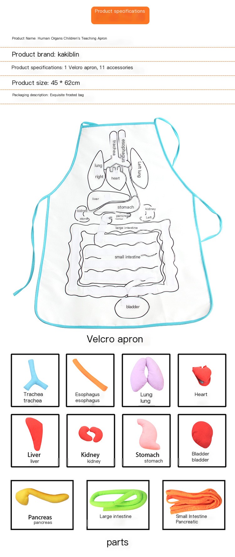 Apron Image 2