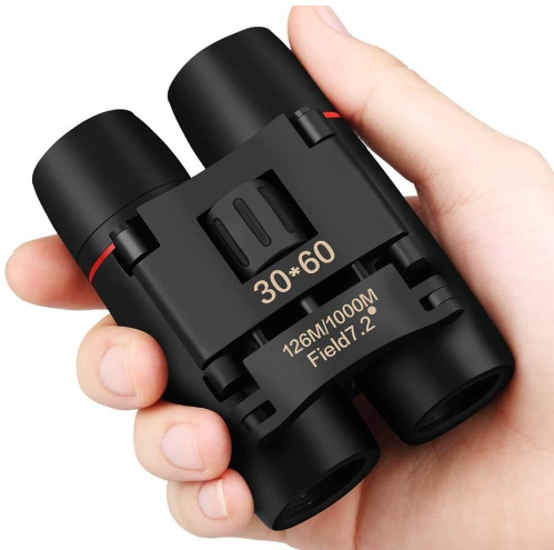 Sakura Binoculars 1