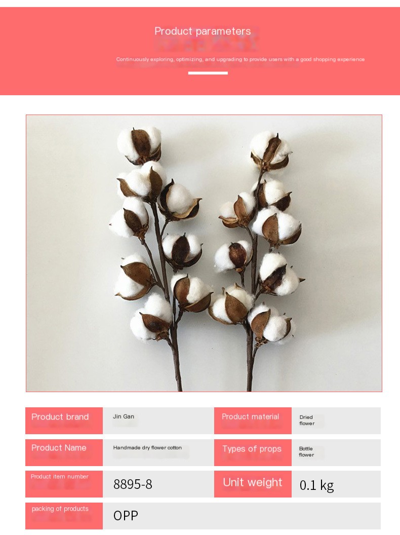 Cotton Dried Flower 1