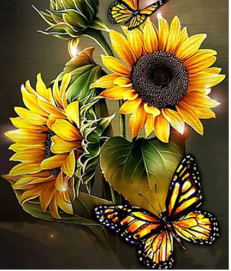 Haped Diamond Painting