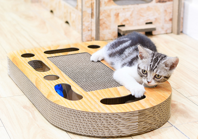 Cat Toy and Scratching Board