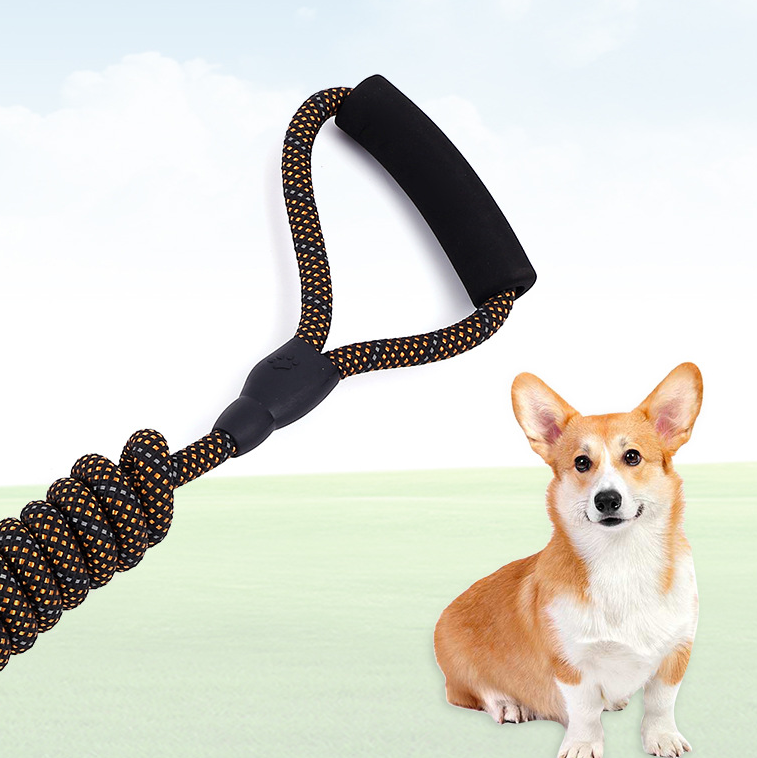 Pet Tracking Leash Image 1