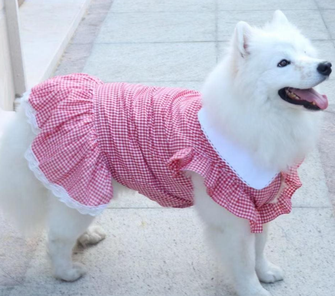 Pet Dress Image 4