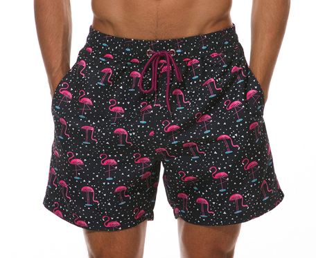 Beach Shorts Image 4